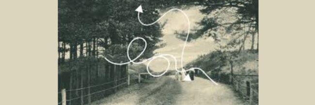 Stogi. Przewodnik Osobisty | cykl spotkań